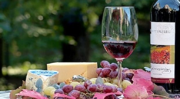 Bicchiere di vino rosso e formaggi stagionati