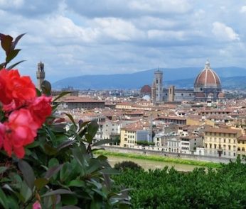panorama su Firenze con rosa in primo piano